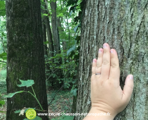 Retour à la nature en se connectant aux arbres