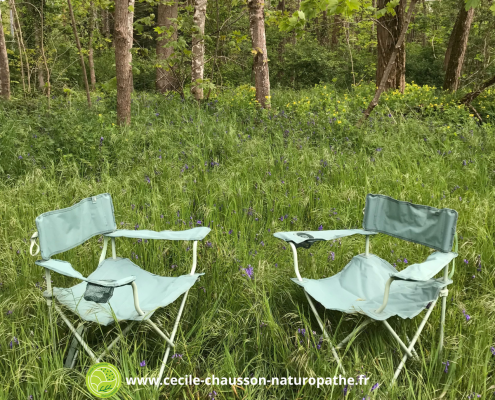 2 chaises en forêt installées pour une consultation