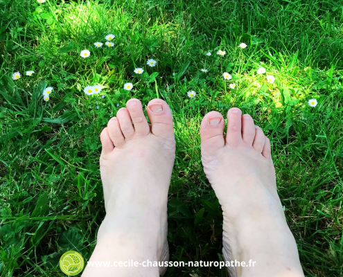 experimentez les 5 sens en nature en mettant les pieds dans l'herbe cécile chausson naturopathe