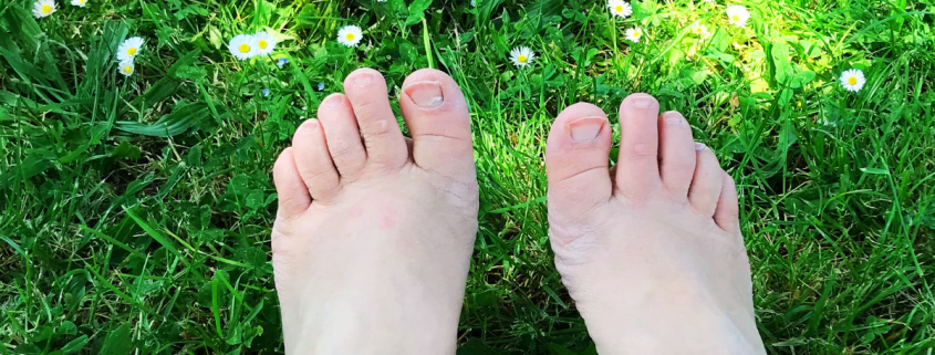 experimentez les 5 sens en nature en mettant les pieds dans l'herbe cécile chausson naturopathe